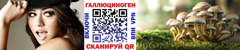 Галлюциногенные грибы Magic Shrooms  Купить  Свирск 